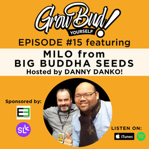 Milo Yung from Big Buddha Seeds talks with Danny Danko!