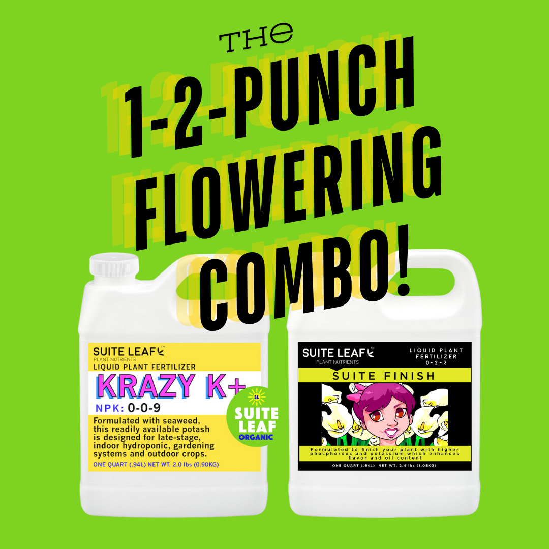 1-2 Punch Flowering Combo for Indoor and Outdoor Gardening – Suite